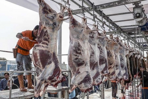 Kurban hissesine katılırken nelere dikkat etmeli?