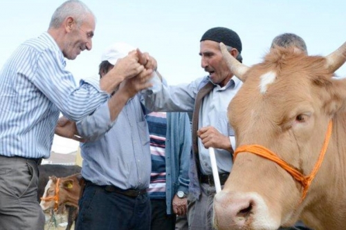 Kurban Satış Fiyatları